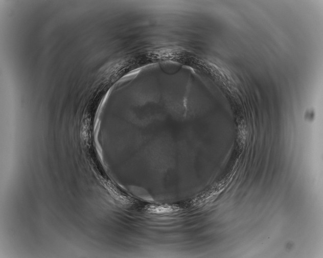 X0000099290181200805161334