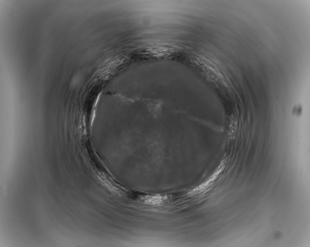 X0000099290182200805161334