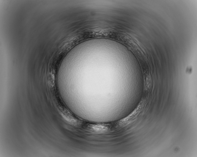 X0000099290183200805161334