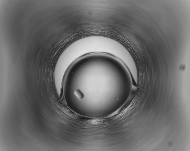 X0000099290184200805161334