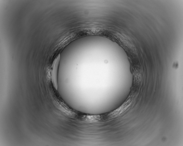 X0000099290188200805161334