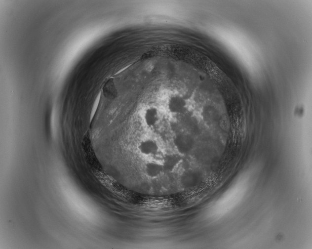 X0000099290189200805161334