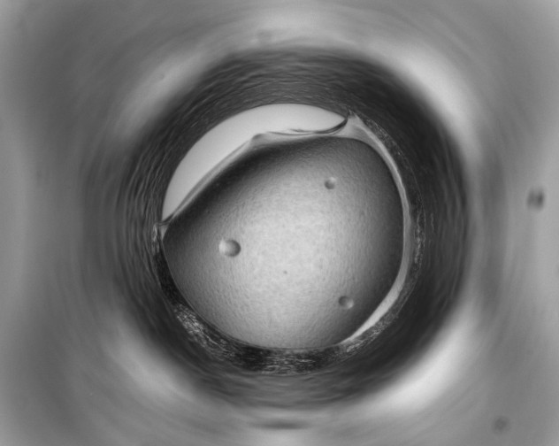 X0000099290190200805161334