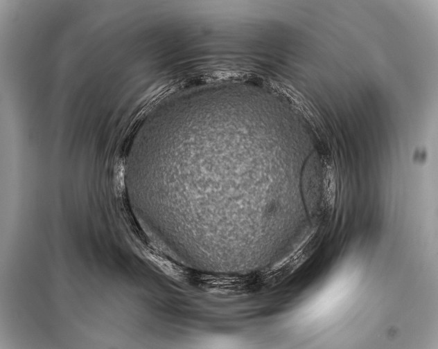 X0000099290191200805161334