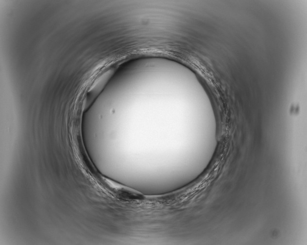 X0000099290193200805161333