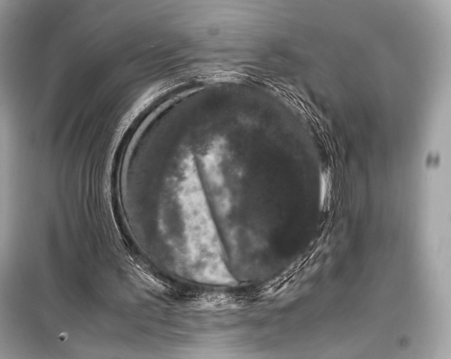 X0000099290195200805161333