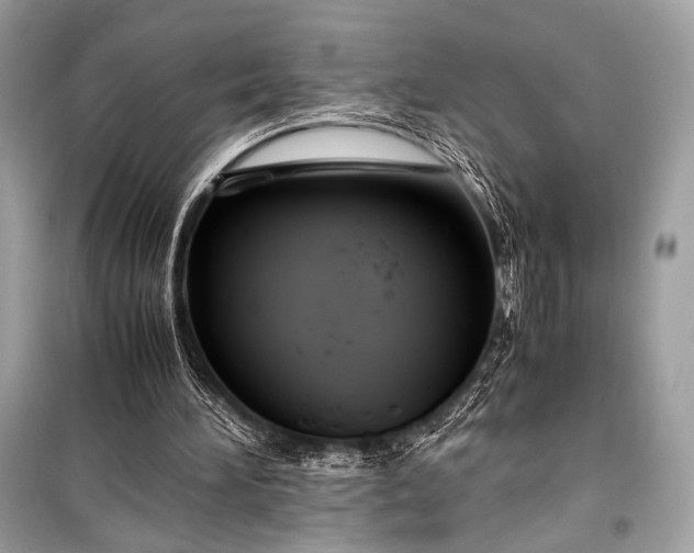 X0000099290196200805161333