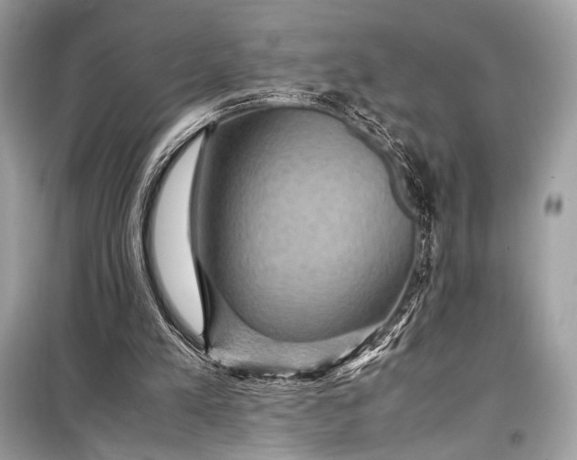 X0000099290197200805161333