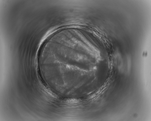 X0000099290198200805161333