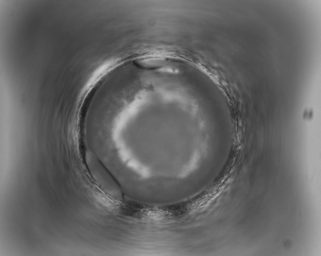 X0000099290199200805161333