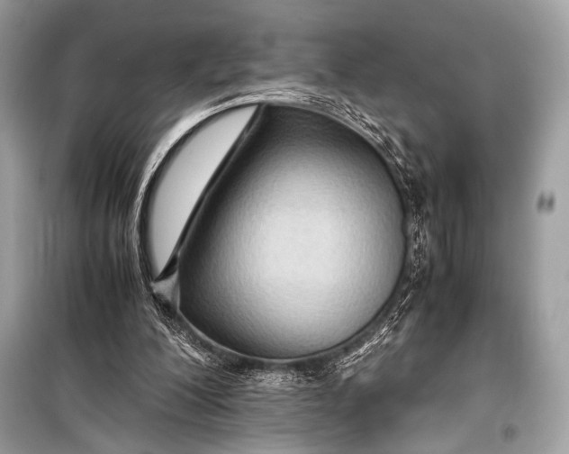 X0000099290200200805161333