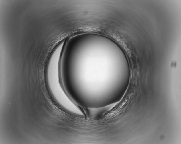 X0000099290201200805161333