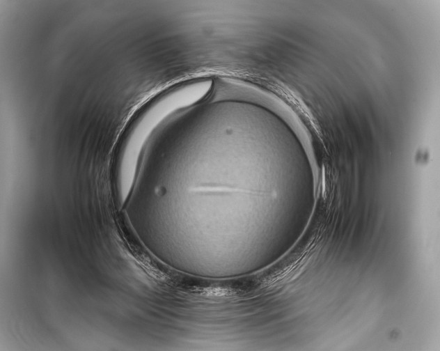 X0000099290204200805161333