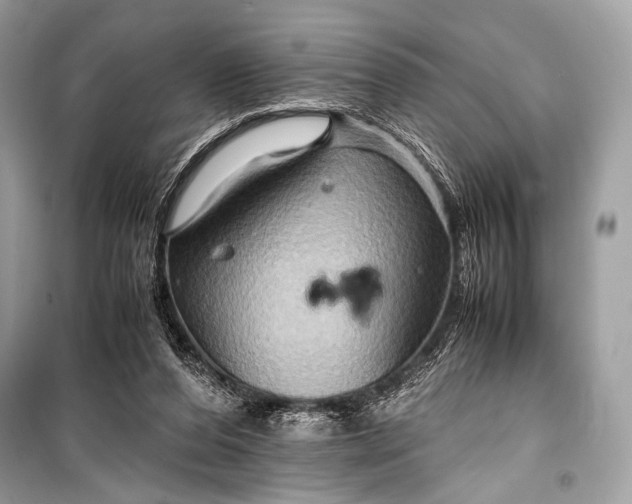 X0000099290208200805161333