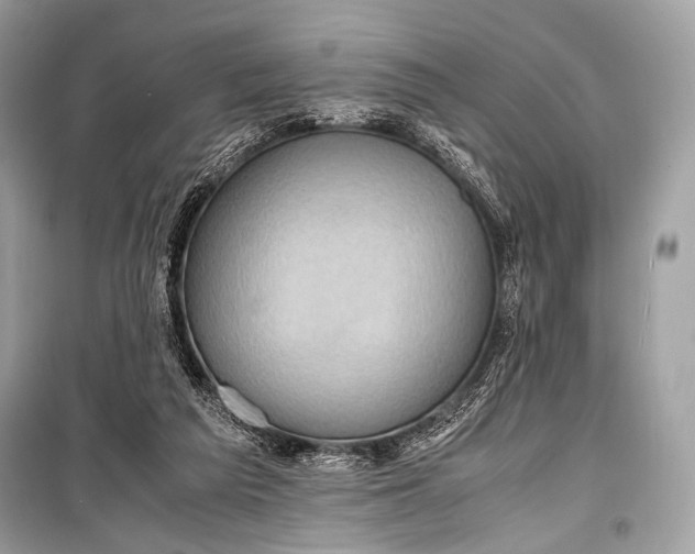 X0000099290209200805161333