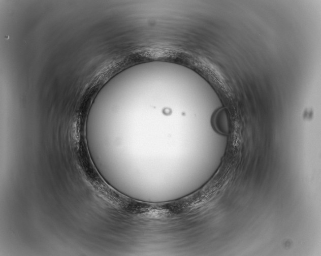 X0000099290210200805161333