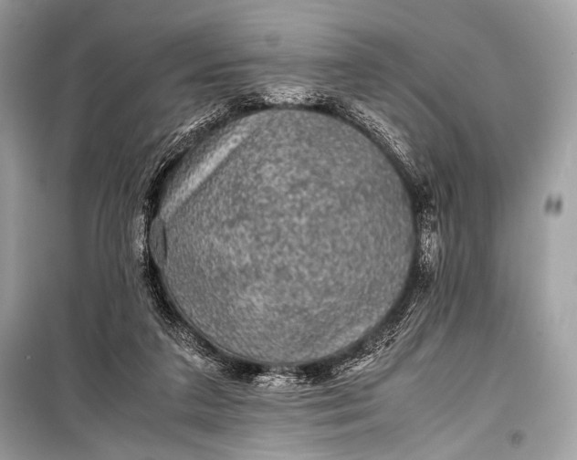 X0000099290211200805161333