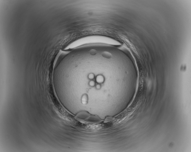 X0000099290213200805161333