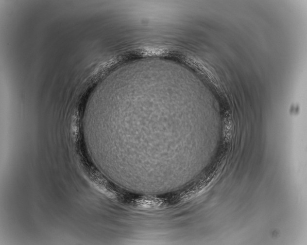 X0000099290215200805161333