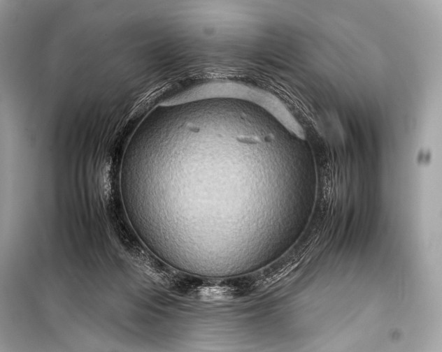 X0000099290216200805161333