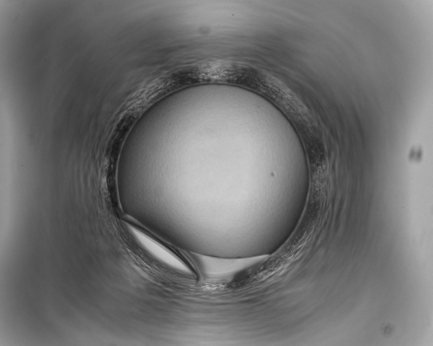 X0000099290217200805161333