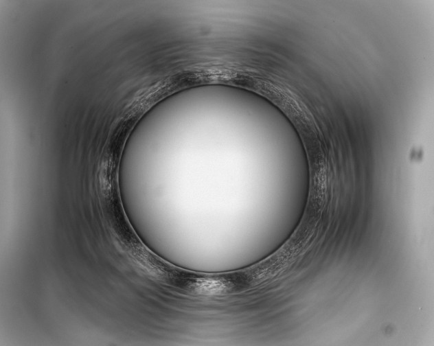 X0000099290218200805161333