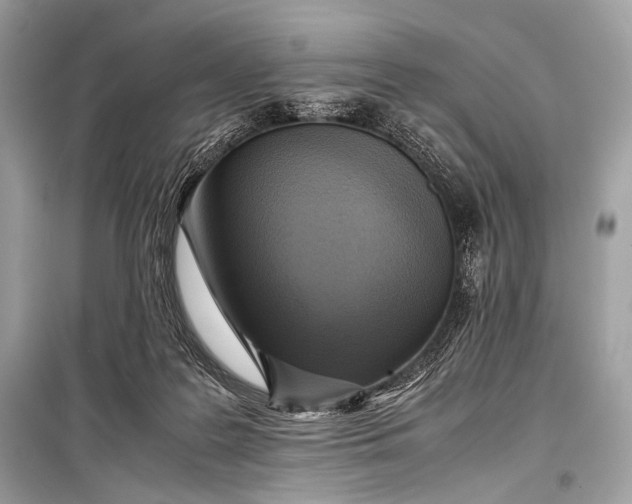 X0000099290219200805161333