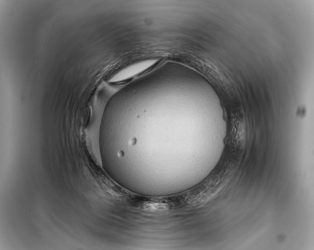 X0000099290220200805161333