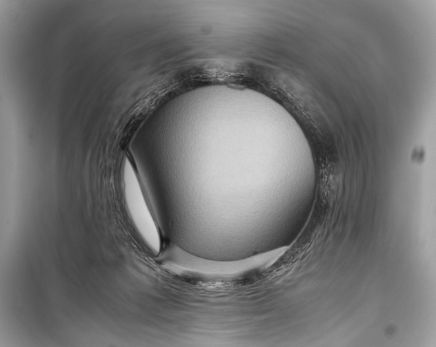 X0000099290221200805161333