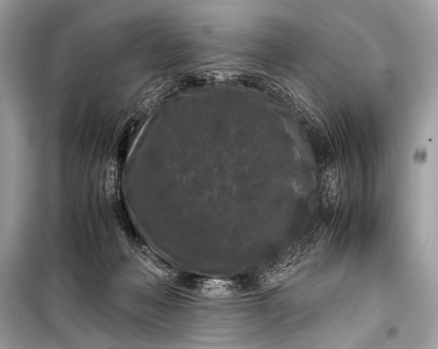 X0000099290222200805161333