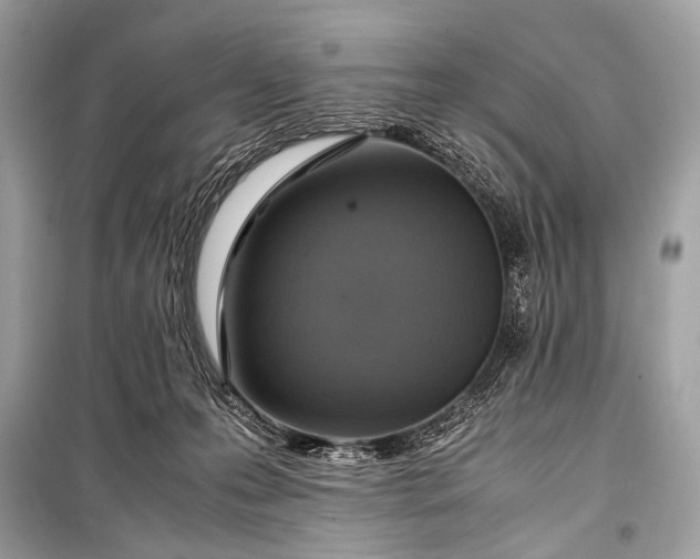 X0000099290223200805161333