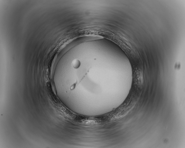 X0000099290224200805161333