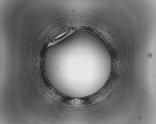 X0000099290225200805161333