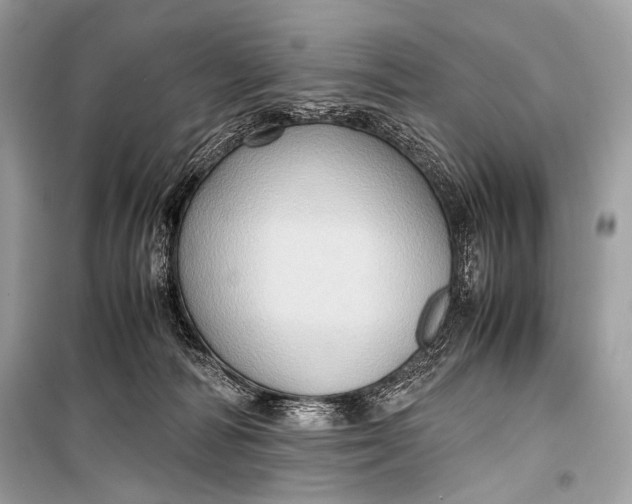 X0000099290226200805161333