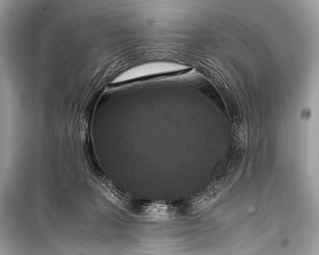 X0000099290227200805161333