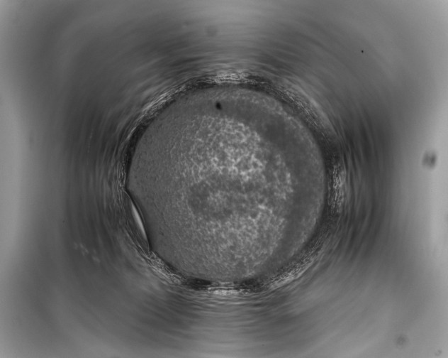 X0000099290228200805161333