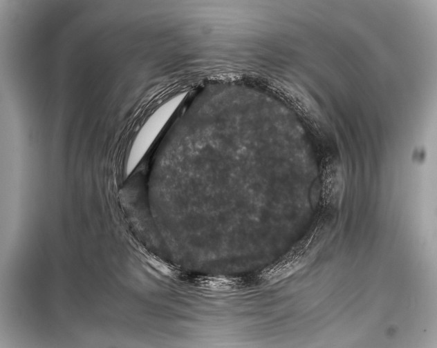 X0000099290229200805161333