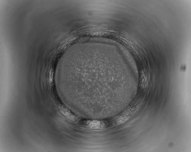 X0000099290230200805161333