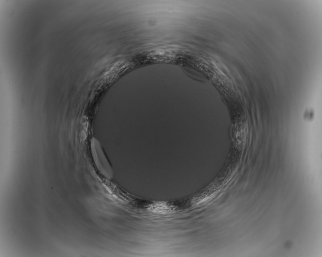 X0000099290231200805161333