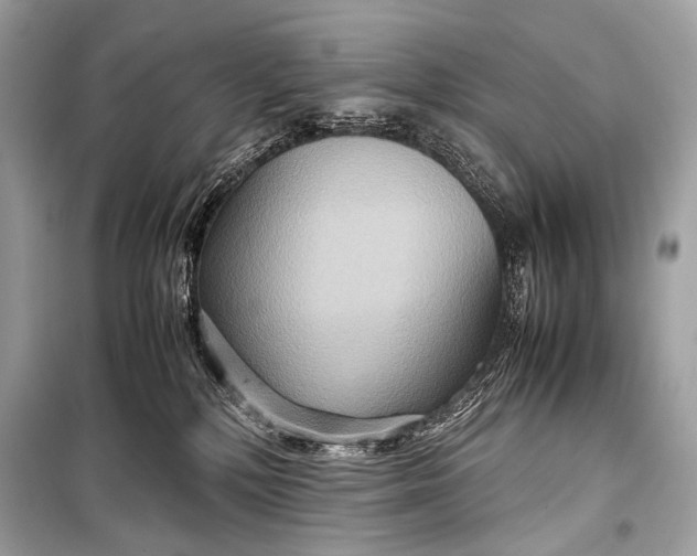 X0000099290232200805161333