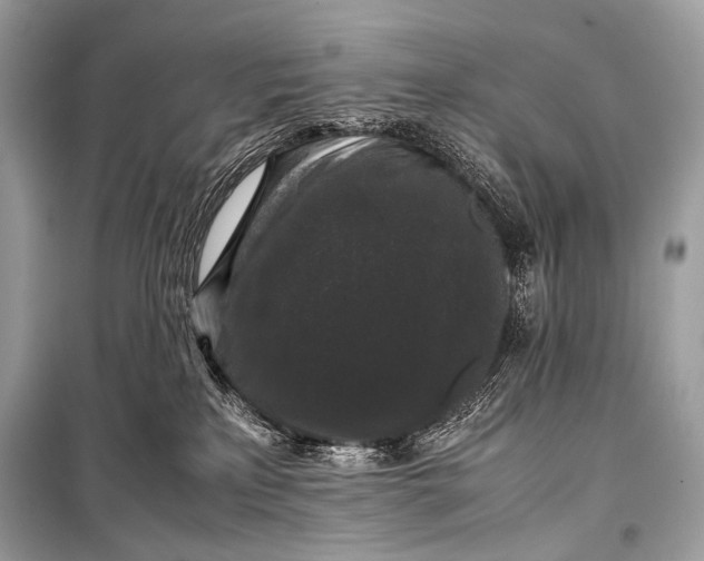 X0000099290233200805161333