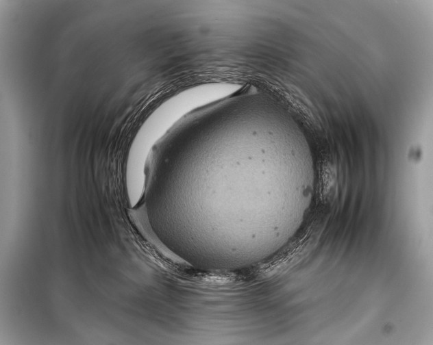 X0000099290236200805161332