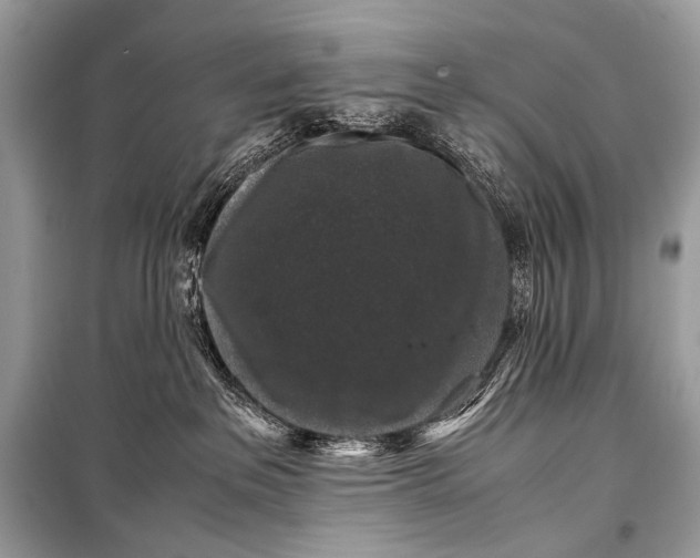 X0000099290237200805161332