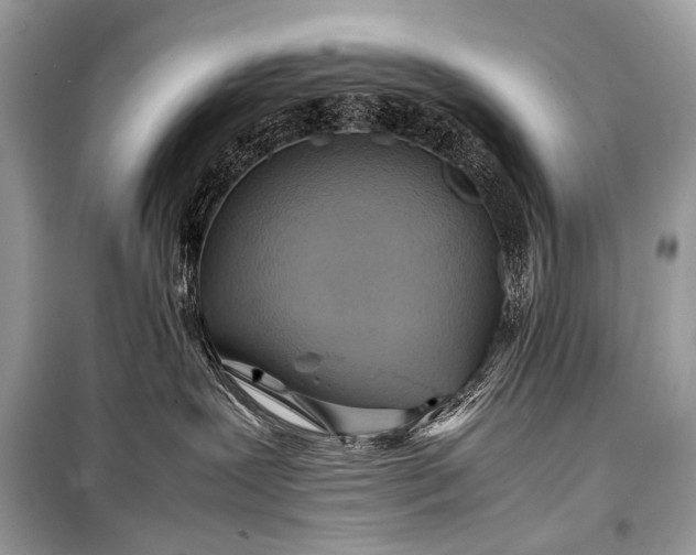 X0000099290239200805161332