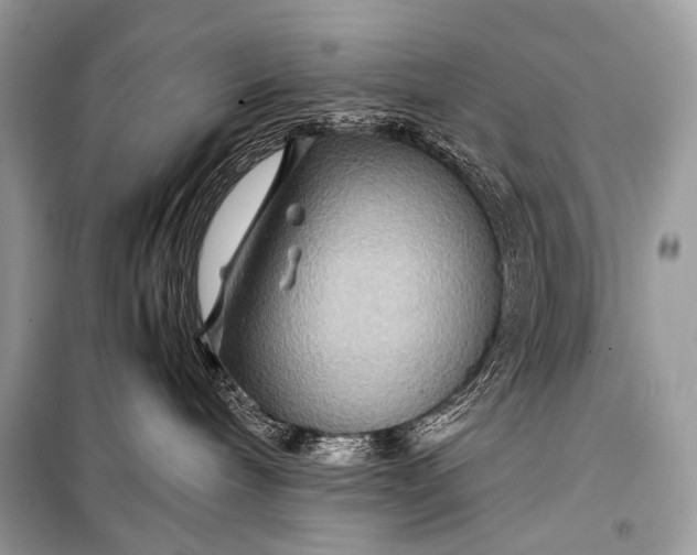 X0000099290240200805161332