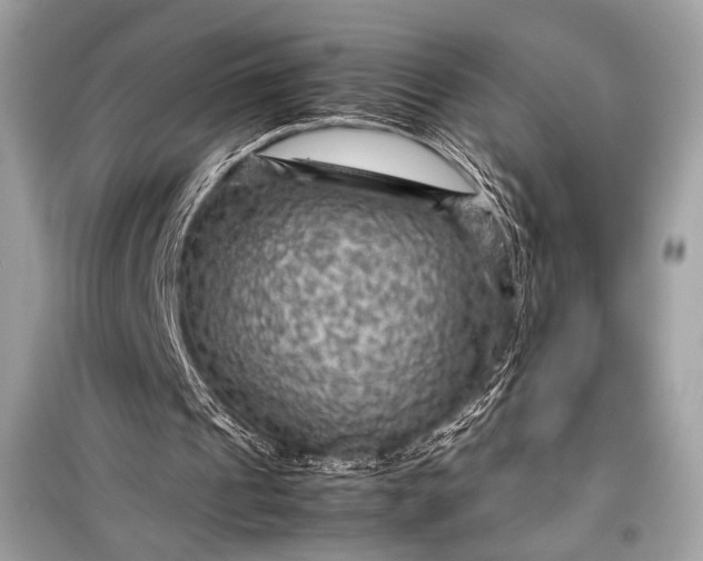 X0000099290241200805161332