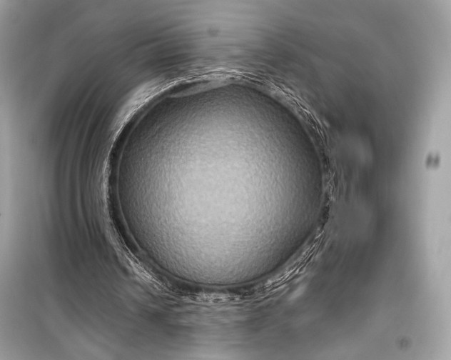 X0000099290242200805161332