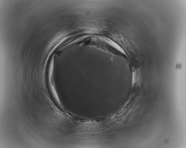 X0000099290243200805161332