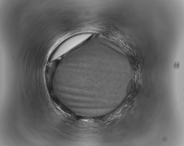 X0000099290244200805161332