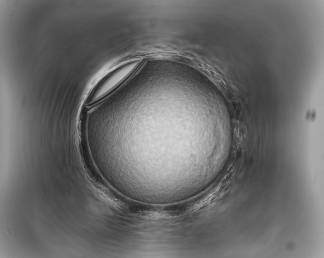 X0000099290246200805161332